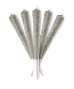 Premium 1g House Joints (AAAA) - 5 Pack