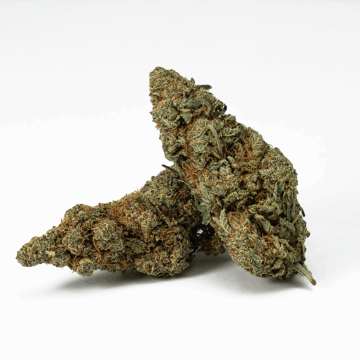 Frosty (AA+)