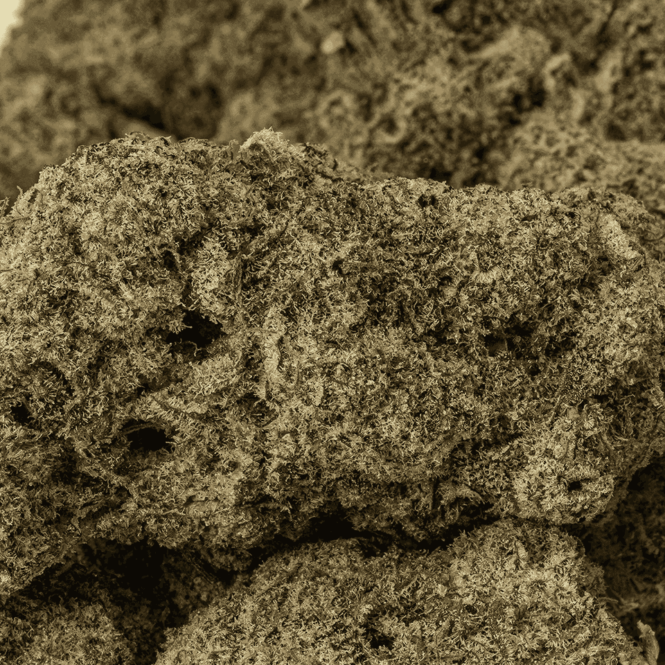 Cereal MAC (Craft) - Image 5