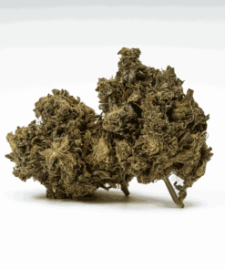 AK-47 is a legendary sativa-dominant hybrid that strikes with uplifting, long-lasting euphoria. Born from Colombian, Mexican, Thai, and Afghani genetics, this classic delivers a powerful cerebral buzz that sparks creativity, conversation, and blissful focus.
