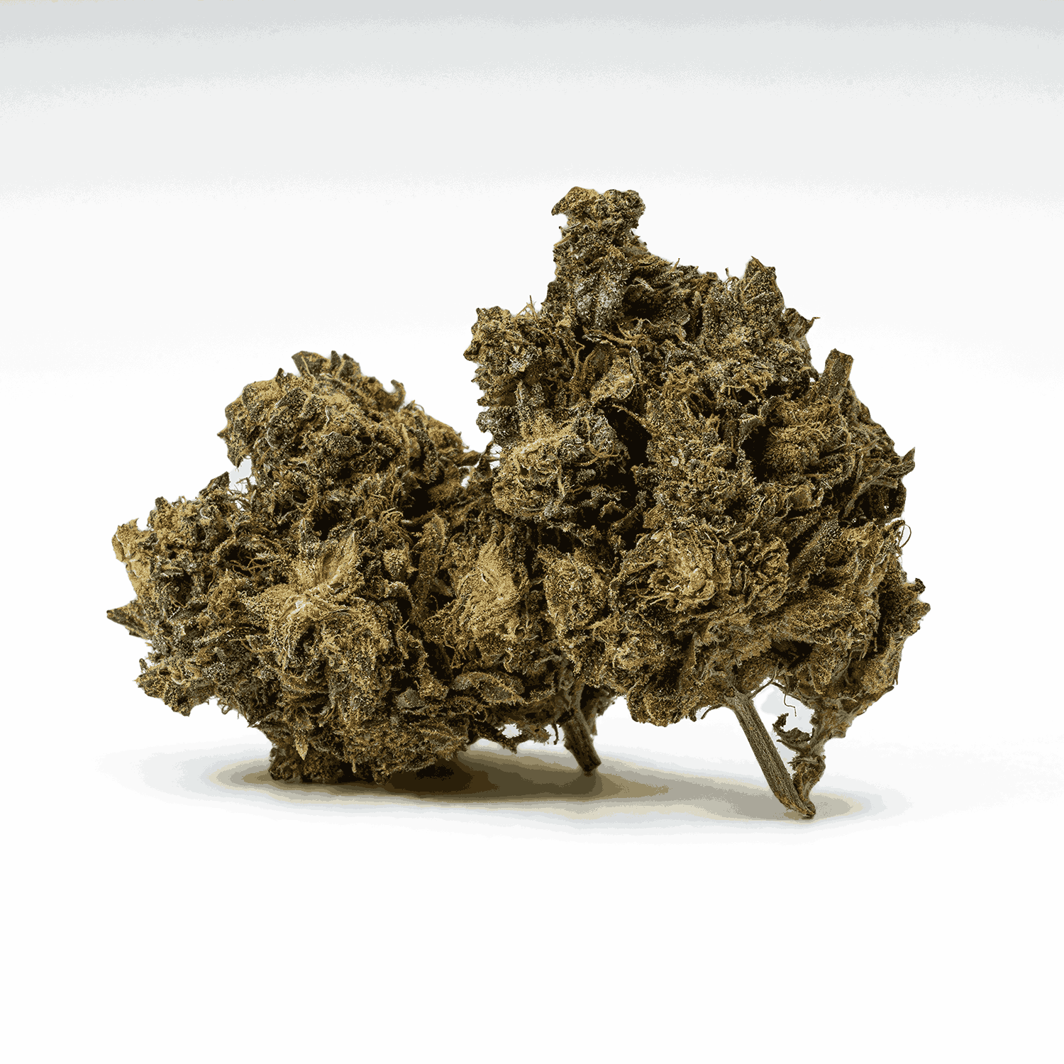 AK-47 is a legendary sativa-dominant hybrid that strikes with uplifting, long-lasting euphoria. Born from Colombian, Mexican, Thai, and Afghani genetics, this classic delivers a powerful cerebral buzz that sparks creativity, conversation, and blissful focus.