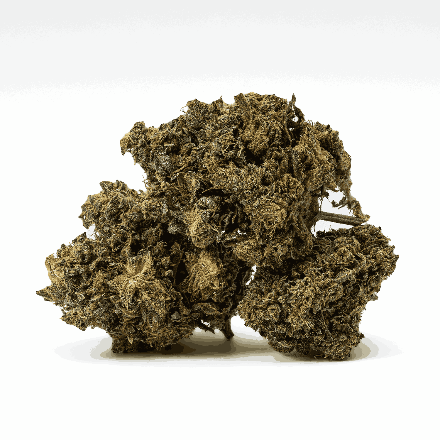 AK-47 is a legendary sativa-dominant hybrid that strikes with uplifting, long-lasting euphoria. Born from Colombian, Mexican, Thai, and Afghani genetics, this classic delivers a powerful cerebral buzz that sparks creativity, conversation, and blissful focus.