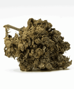 AK-47 is a legendary sativa-dominant hybrid that strikes with uplifting, long-lasting euphoria. Born from Colombian, Mexican, Thai, and Afghani genetics, this classic delivers a powerful cerebral buzz that sparks creativity, conversation, and blissful focus.