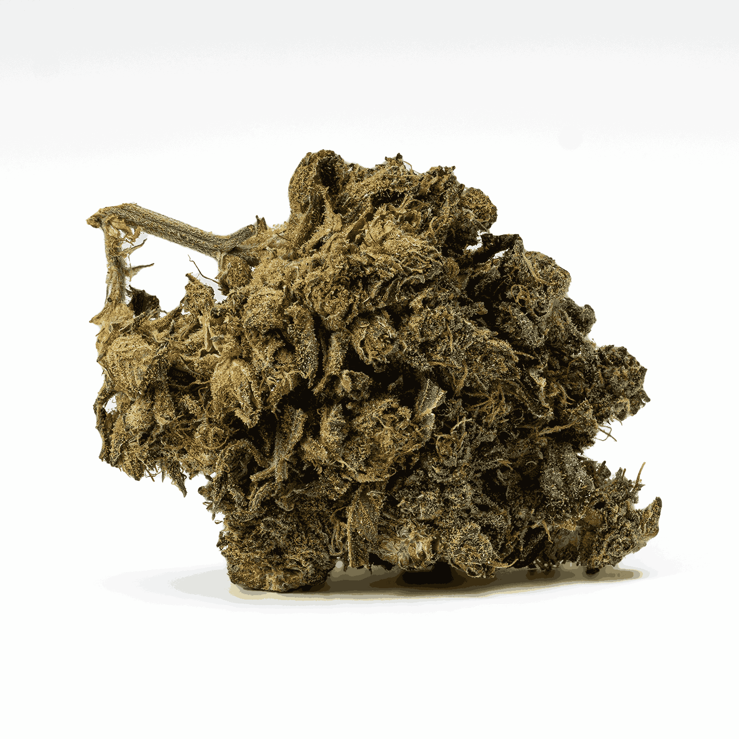 AK-47 is a legendary sativa-dominant hybrid that strikes with uplifting, long-lasting euphoria. Born from Colombian, Mexican, Thai, and Afghani genetics, this classic delivers a powerful cerebral buzz that sparks creativity, conversation, and blissful focus.