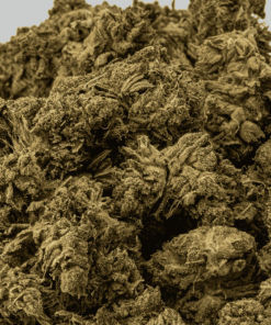 AK-47 is a legendary sativa-dominant hybrid that strikes with uplifting, long-lasting euphoria. Born from Colombian, Mexican, Thai, and Afghani genetics, this classic delivers a powerful cerebral buzz that sparks creativity, conversation, and blissful focus.