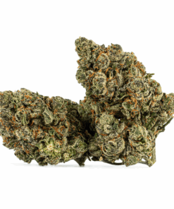 Alien Tits (Sativa Hybrid 70/30) delivers an electrifying yet calming high that lifts spirits, sharpens focus, and fuels creativity before melting into soothing bliss. With 19-23% THC, it’s a go-to for easing stress, anxiety, depression, nausea, and appetite loss.