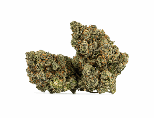 Alien Tits (Sativa Hybrid 70/30) delivers an electrifying yet calming high that lifts spirits, sharpens focus, and fuels creativity before melting into soothing bliss. With 19-23% THC, it’s a go-to for easing stress, anxiety, depression, nausea, and appetite loss.
