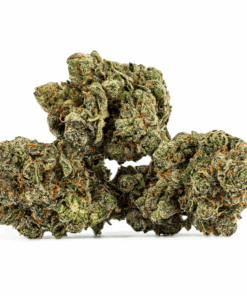 Alien Tits (Sativa Hybrid 70/30) delivers an electrifying yet calming high that lifts spirits, sharpens focus, and fuels creativity before melting into soothing bliss. With 19-23% THC, it’s a go-to for easing stress, anxiety, depression, nausea, and appetite loss.