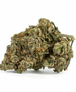 Alien Tits (Sativa Hybrid 70/30) delivers an electrifying yet calming high that lifts spirits, sharpens focus, and fuels creativity before melting into soothing bliss. With 19-23% THC, it’s a go-to for easing stress, anxiety, depression, nausea, and appetite loss.