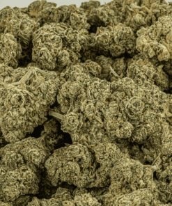 Alien Tits (Sativa Hybrid 70/30) delivers an electrifying yet calming high that lifts spirits, sharpens focus, and fuels creativity before melting into soothing bliss. With 19-23% THC, it’s a go-to for easing stress, anxiety, depression, nausea, and appetite loss.