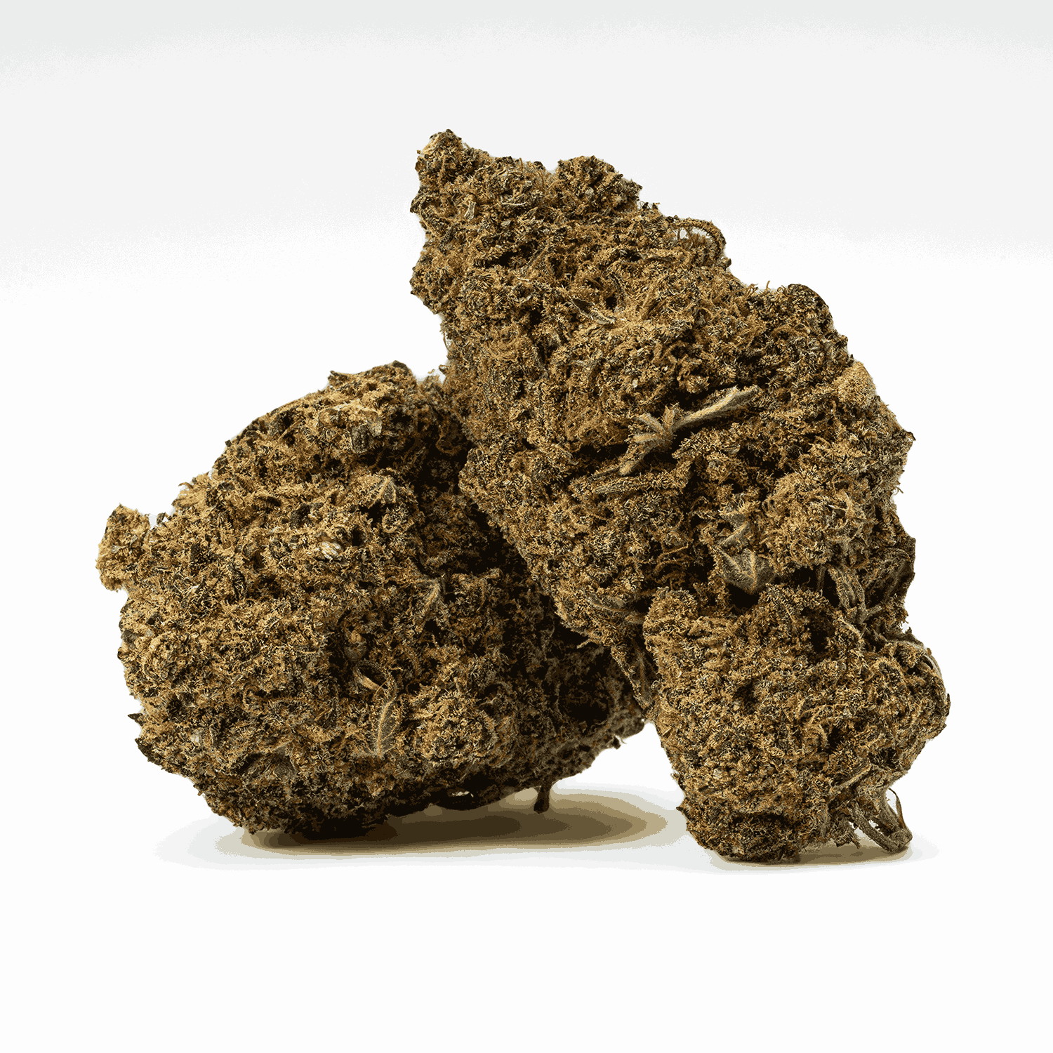 Gello is a perfectly balanced hybrid that blends the best of Gelato 45 and Flo into a sensory delight. Its sugary-sweet berry and citrus flavors captivate the palate, while hints of herbs and earth enrich the aroma.