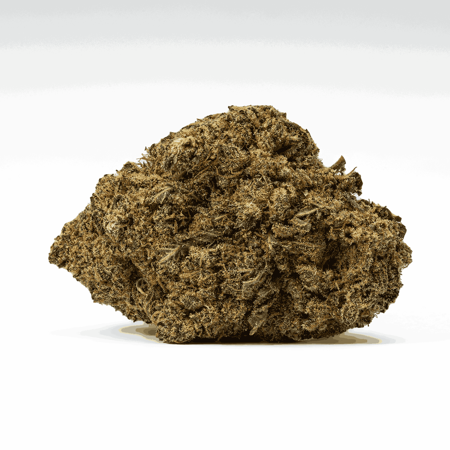 Gello is a perfectly balanced hybrid that blends the best of Gelato 45 and Flo into a sensory delight. Its sugary-sweet berry and citrus flavors captivate the palate, while hints of herbs and earth enrich the aroma.