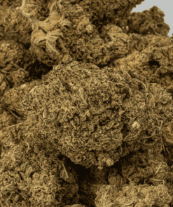 Gello is a perfectly balanced hybrid that blends the best of Gelato 45 and Flo into a sensory delight. Its sugary-sweet berry and citrus flavors captivate the palate, while hints of herbs and earth enrich the aroma.