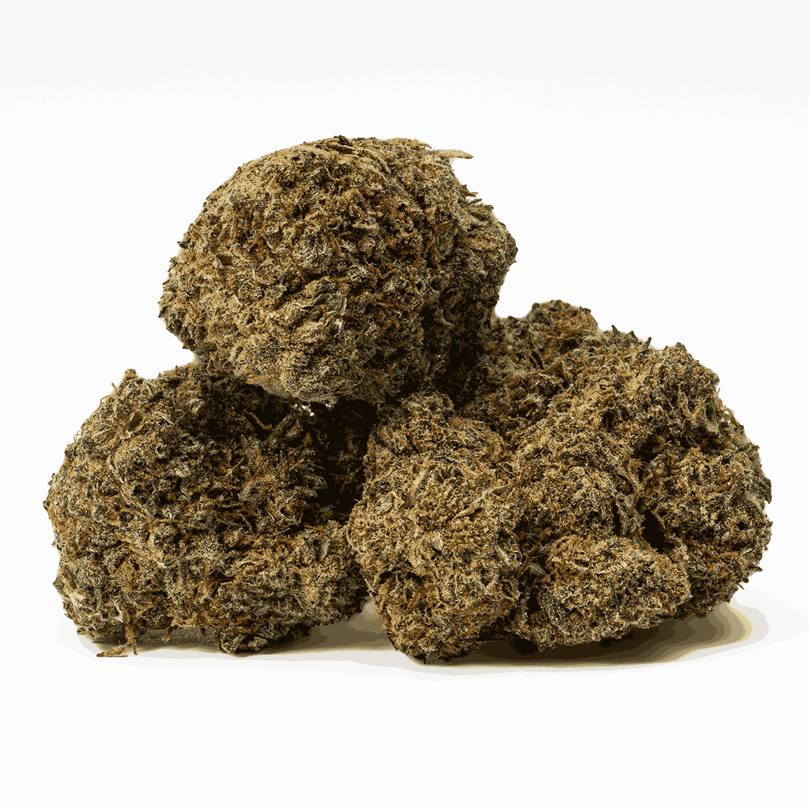 Matrix is a 70/30 indica-dominant hybrid with rich chocolatey, nutty flavors and earthy pine aromas. A cross of Mint Chocolate Chip and WiFi OG, it delivers a euphoric, tingly head high followed by deep body relaxation and couchlock.