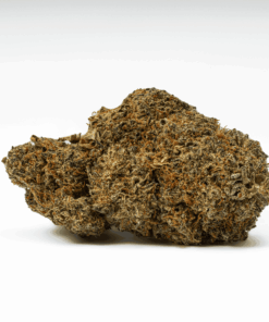 Matrix is a 70/30 indica-dominant hybrid with rich chocolatey, nutty flavors and earthy pine aromas. A cross of Mint Chocolate Chip and WiFi OG, it delivers a euphoric, tingly head high followed by deep body relaxation and couchlock.