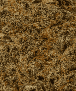 Matrix is a 70/30 indica-dominant hybrid with rich chocolatey, nutty flavors and earthy pine aromas. A cross of Mint Chocolate Chip and WiFi OG, it delivers a euphoric, tingly head high followed by deep body relaxation and couchlock.