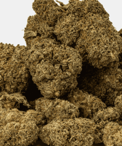 Matrix is a 70/30 indica-dominant hybrid with rich chocolatey, nutty flavors and earthy pine aromas. A cross of Mint Chocolate Chip and WiFi OG, it delivers a euphoric, tingly head high followed by deep body relaxation and couchlock.