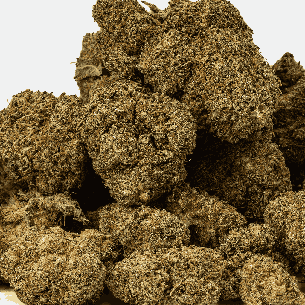 Matrix is a 70/30 indica-dominant hybrid with rich chocolatey, nutty flavors and earthy pine aromas. A cross of Mint Chocolate Chip and WiFi OG, it delivers a euphoric, tingly head high followed by deep body relaxation and couchlock.