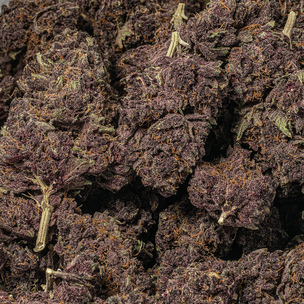 Black Raspberry (AAAA) - Image 4