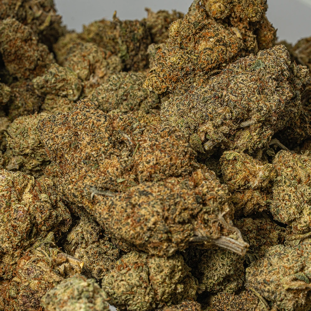 Ghost Dawg (AA+) - Image 5