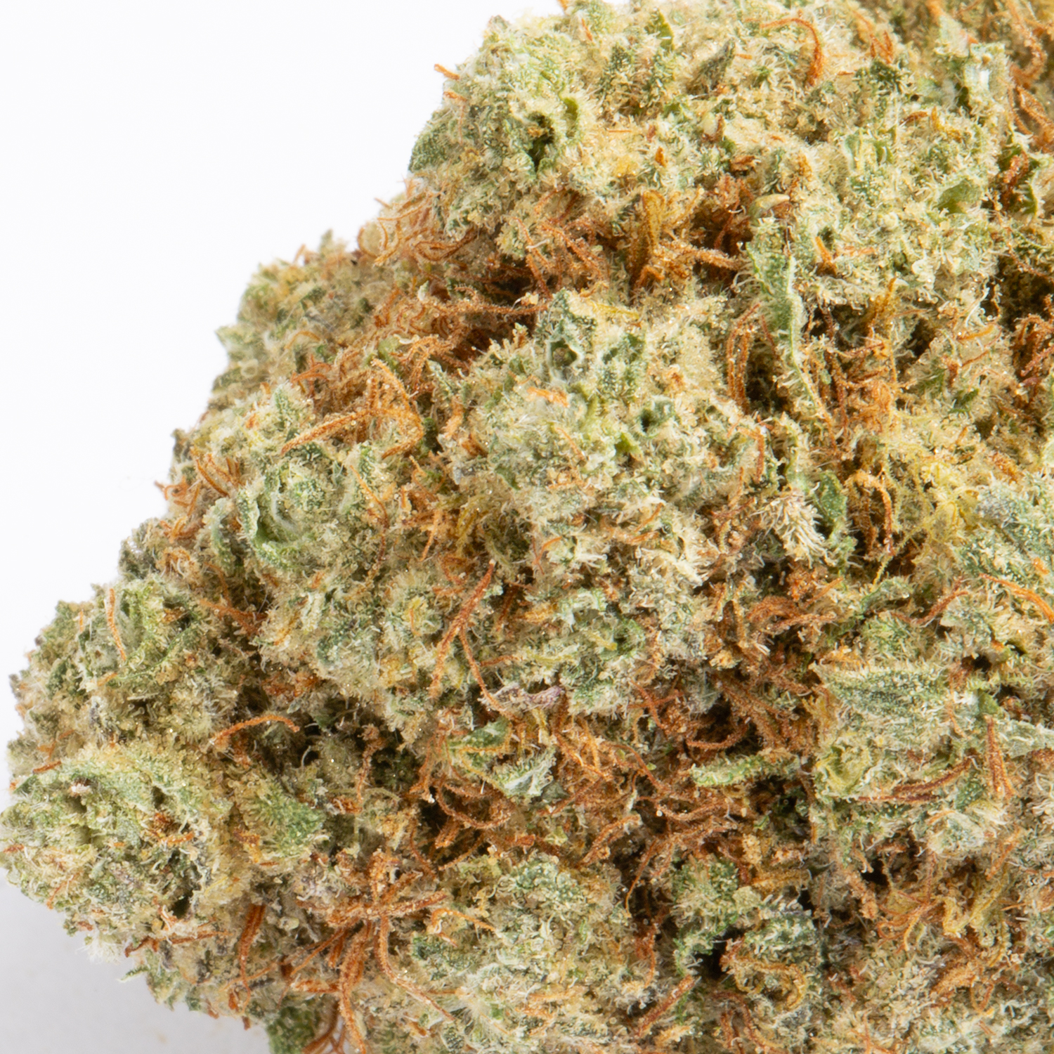 Pink Velvet (AAA) - Image 2