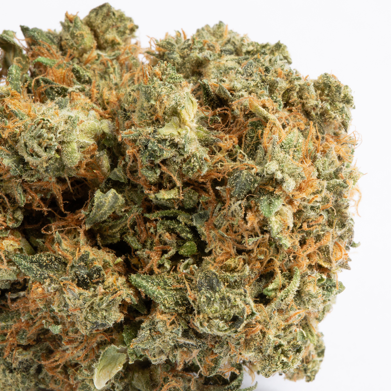 Bakerstreet (AA+) - Image 2