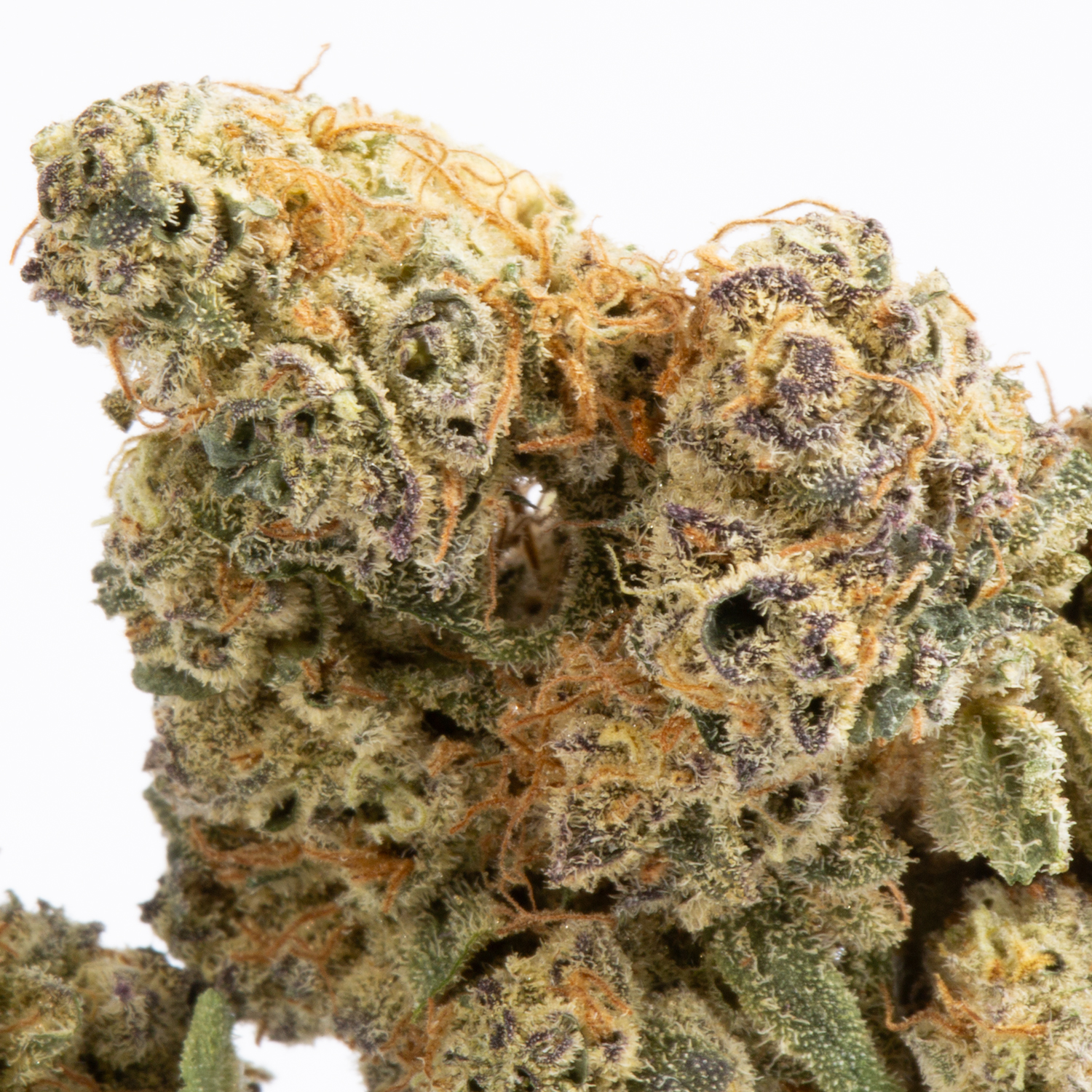 Jupiter (AA+) - Image 2