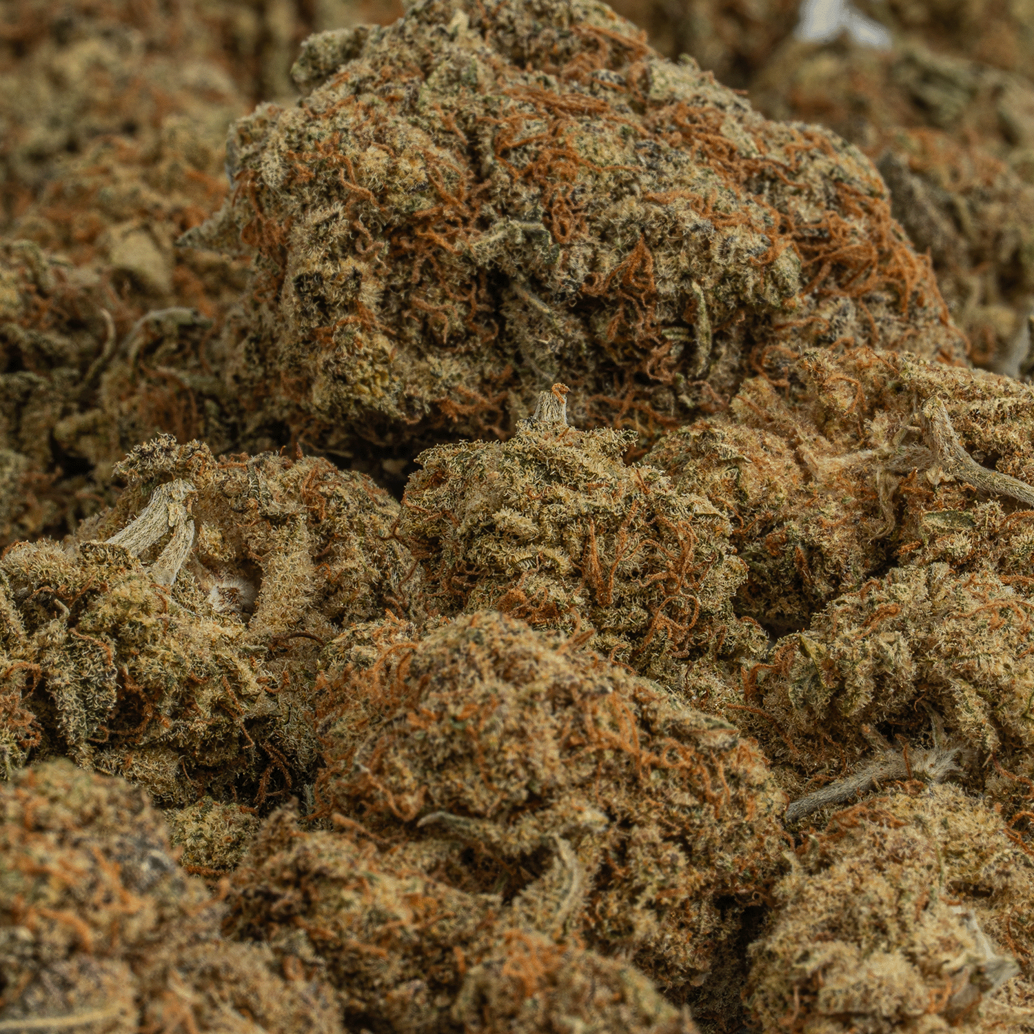 Silver Haze (AA+) - Image 5