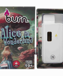 Burn Disposable Vape (2g) - Alice in Wonderland (Hybrid)