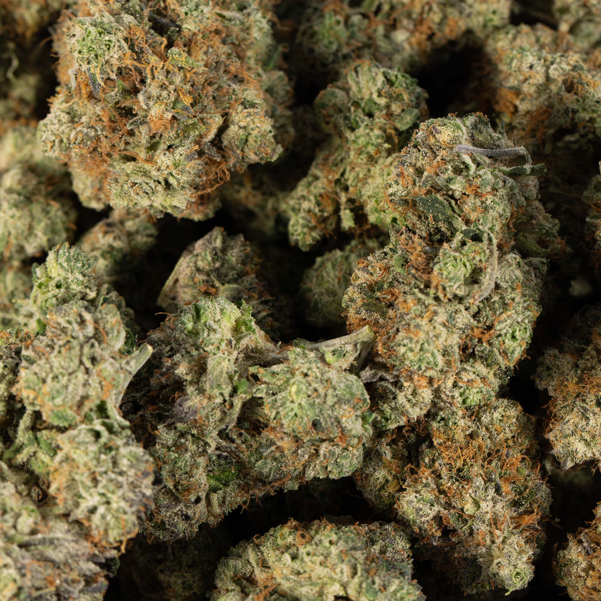 Primus OG (AAAA) - Image 5