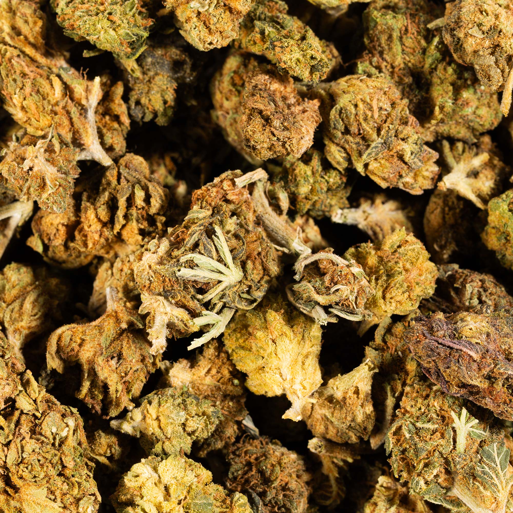 Lagoon (A) - Image 4