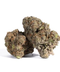 Pacific Frost (AAA+)