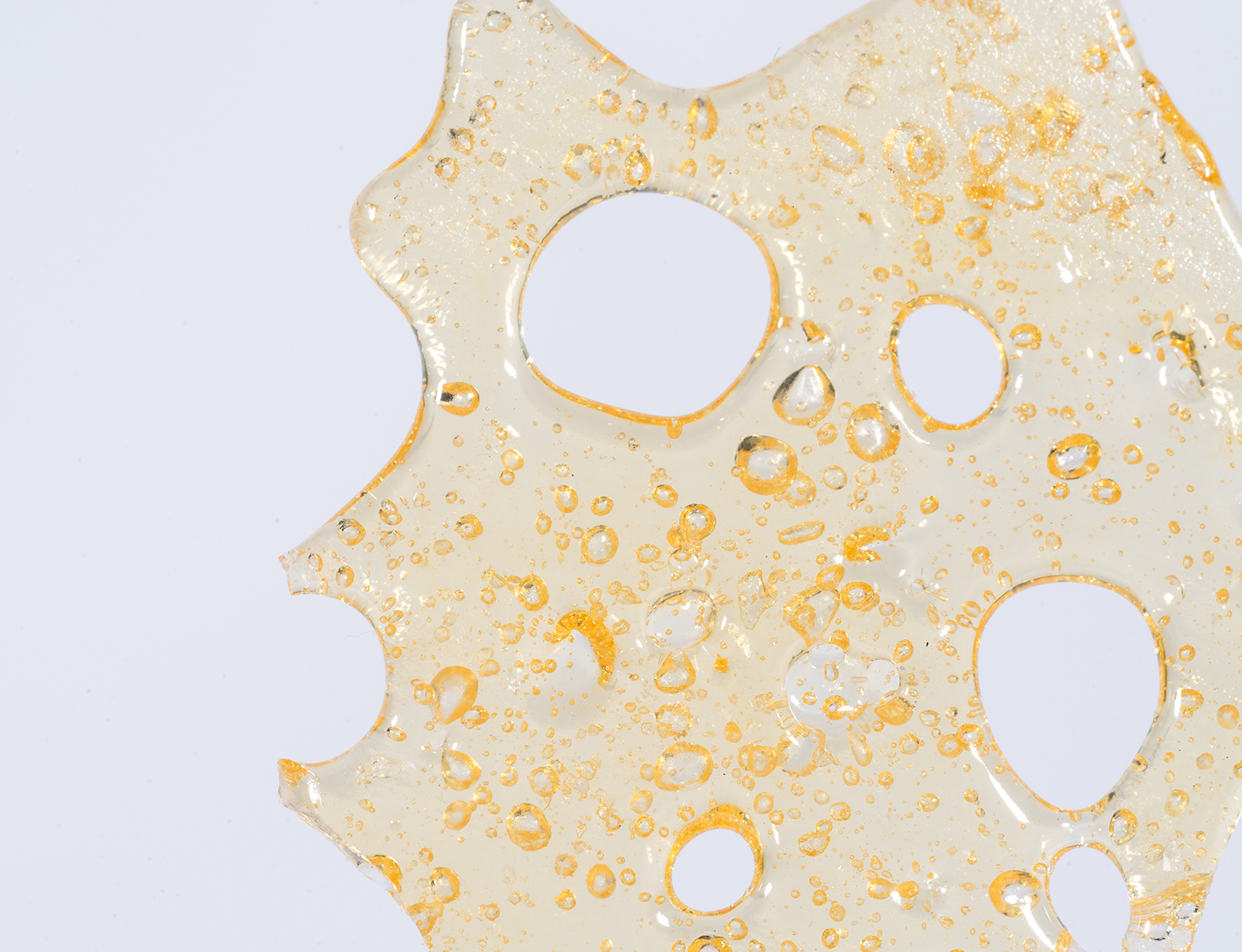 House Shatter - Pine Tar (Indica)