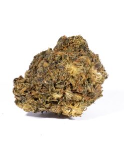 Cherry Dosi (A) Promo