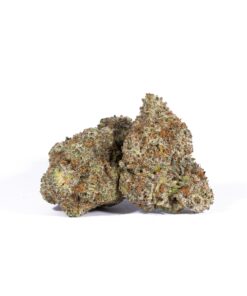 Headband (AAAA) Promo