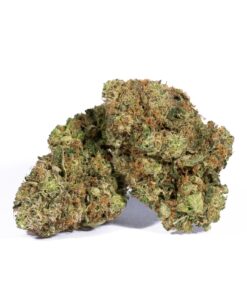 Unicorn Poop (AAA+) Promo