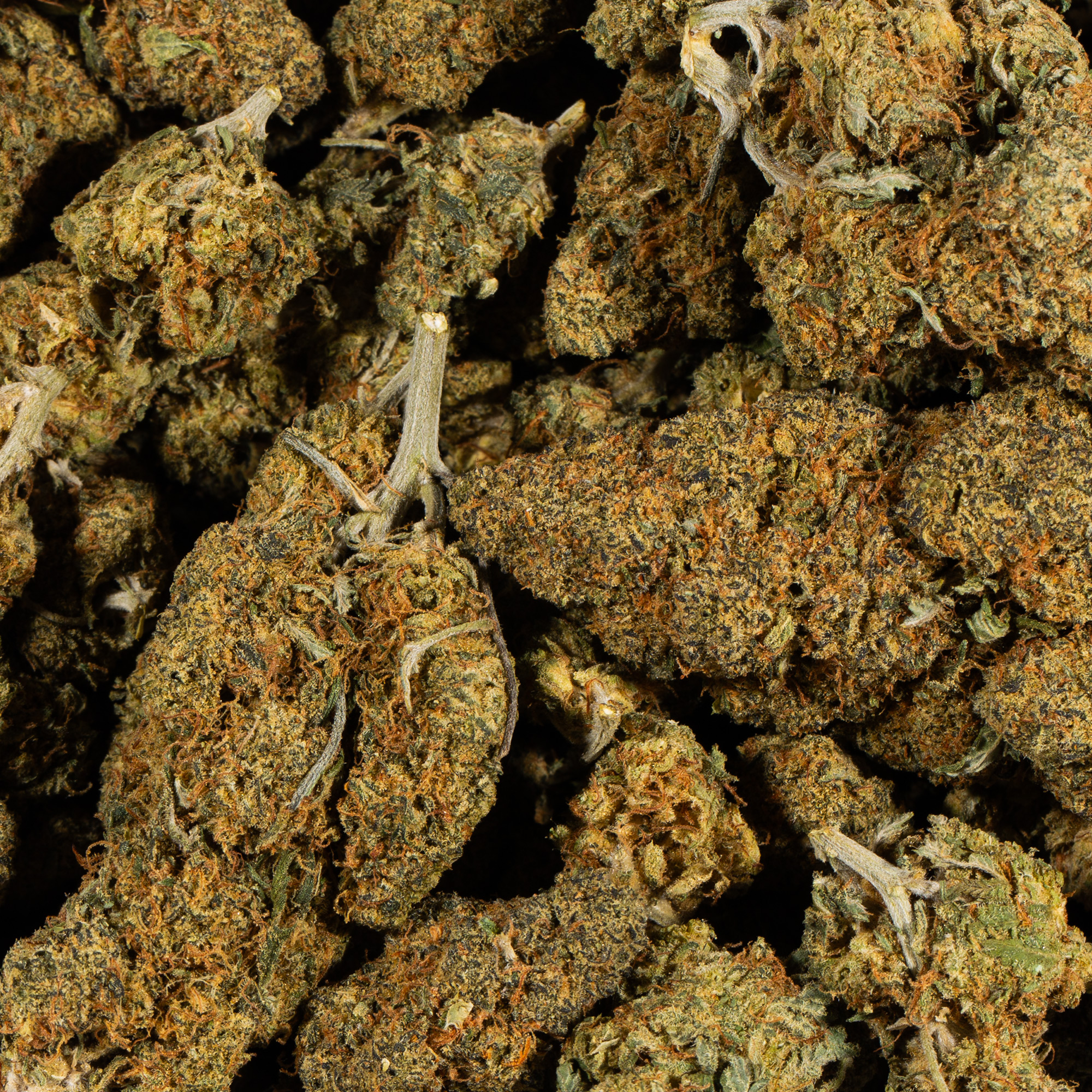 Aurora Haze (AA) - Image 5