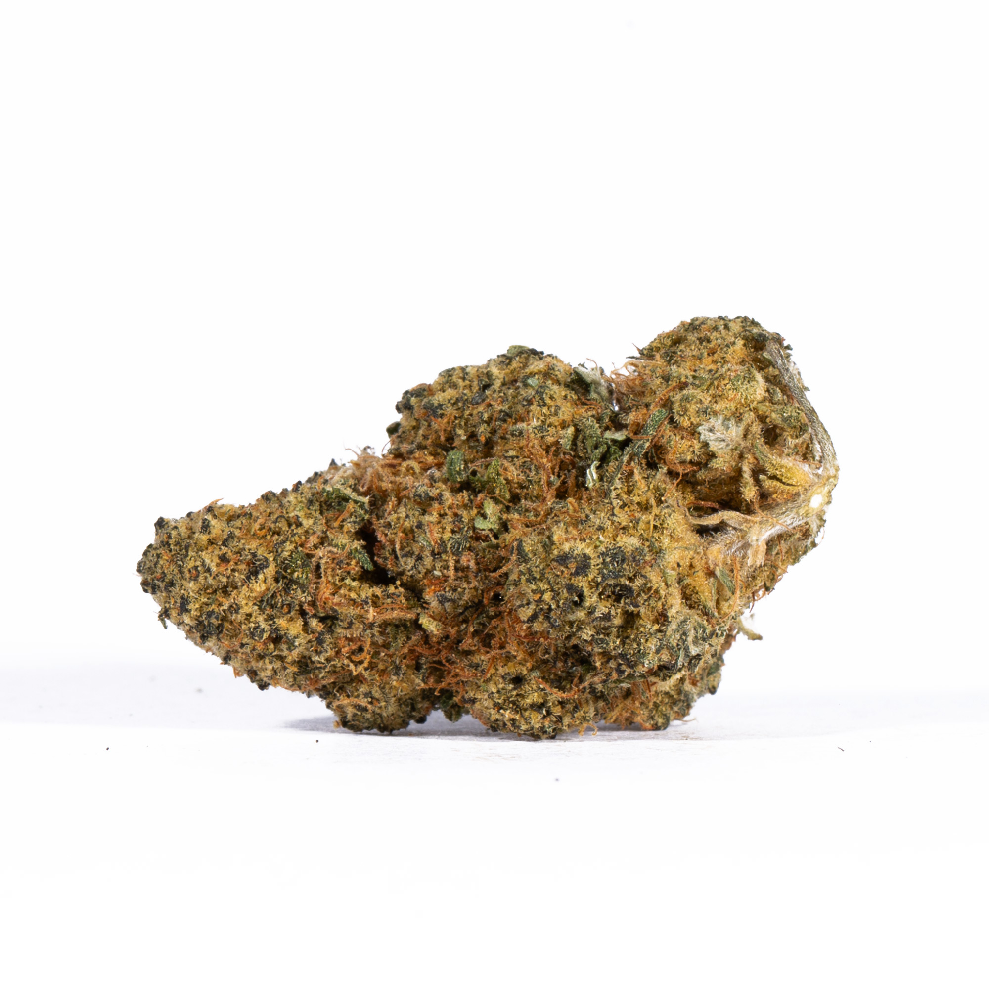 Aurora Haze (AA) - Image 2