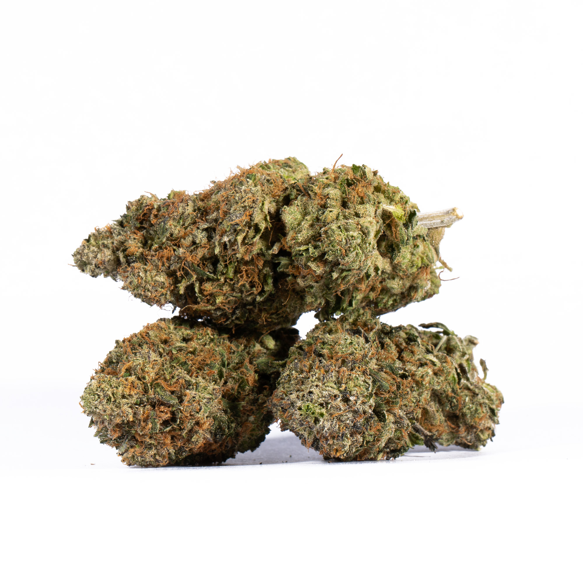 Lemon Sweet Skunk (AAA) - Image 3