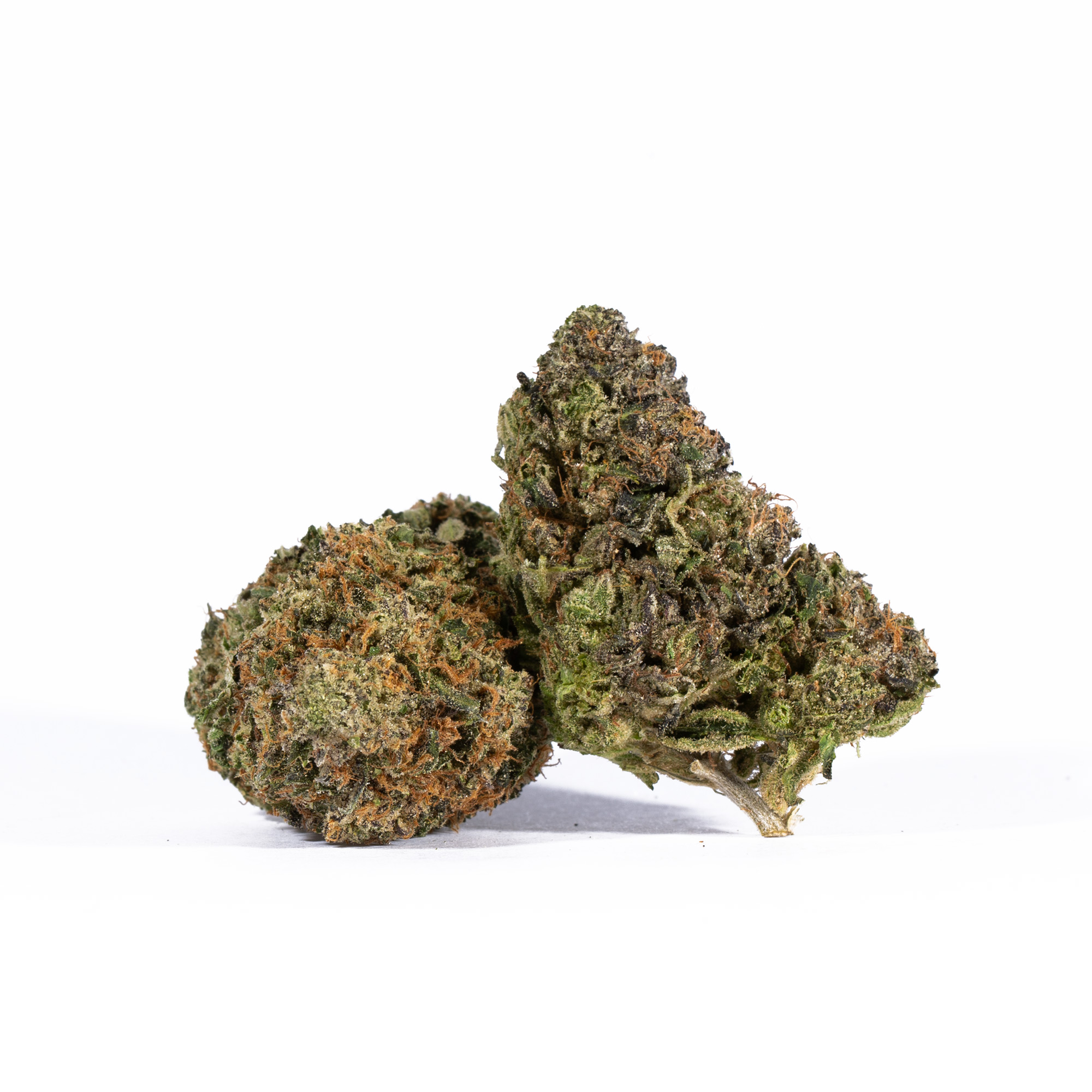 Lemon Sweet Skunk (AAA)
