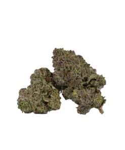 Snoop's Dream (AAAA)